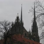 IMG_6935
