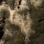 P1040642