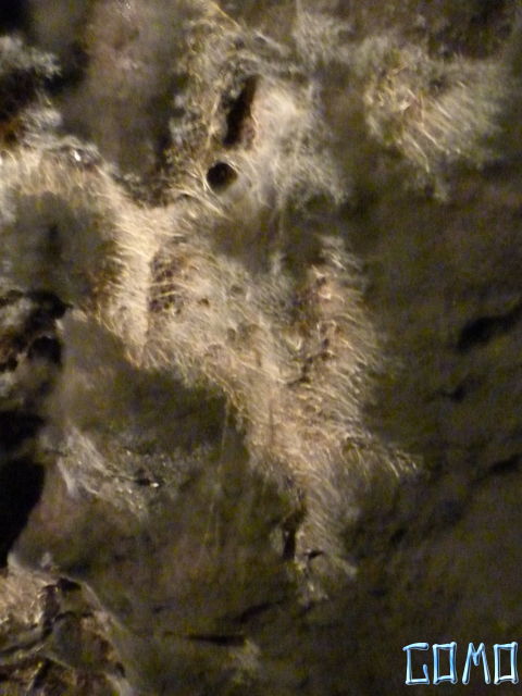 P1040642