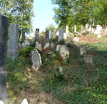 P1050004