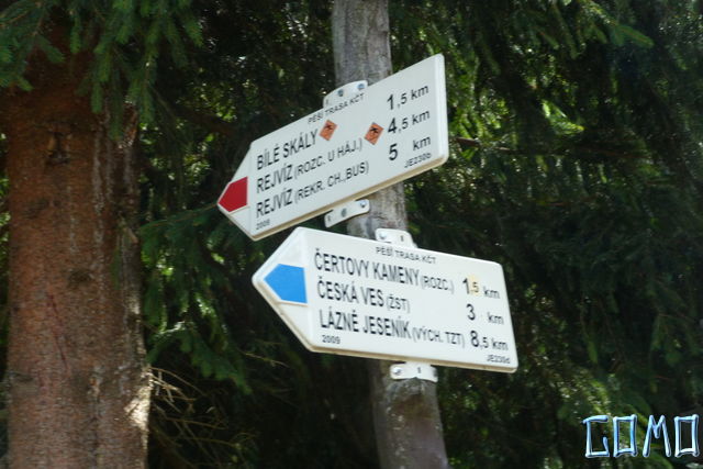 P1050061