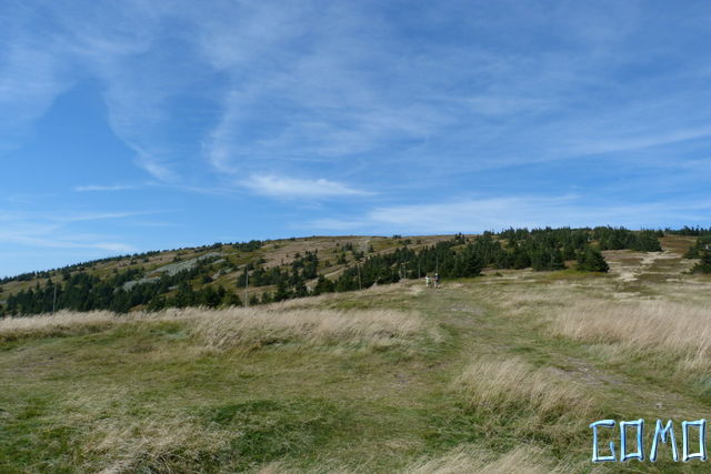 P1050208