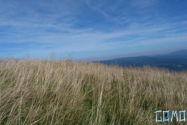 P1050209