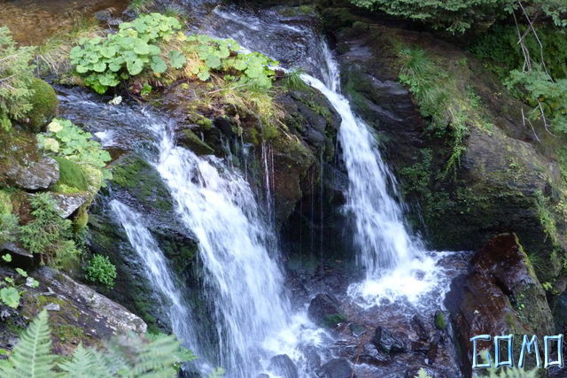 P1050338