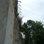 P1050426