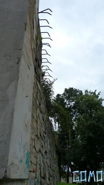 P1050426