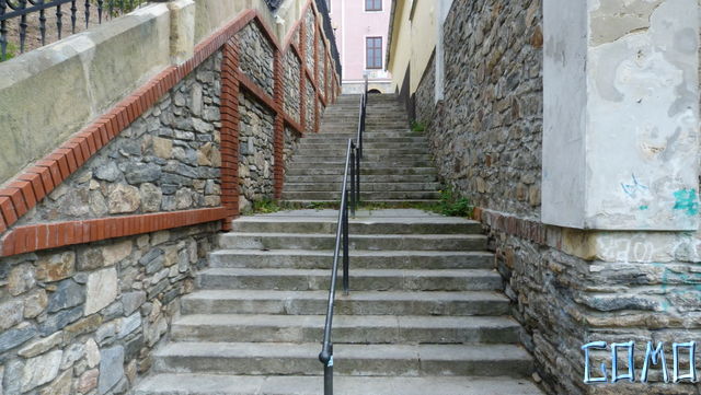 P1050428