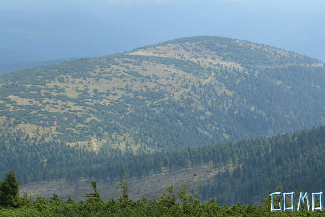 P1050605