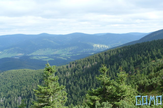 P1050636