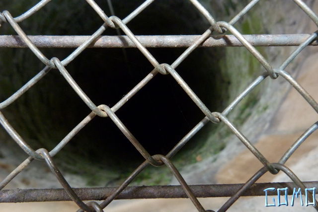 P1050737