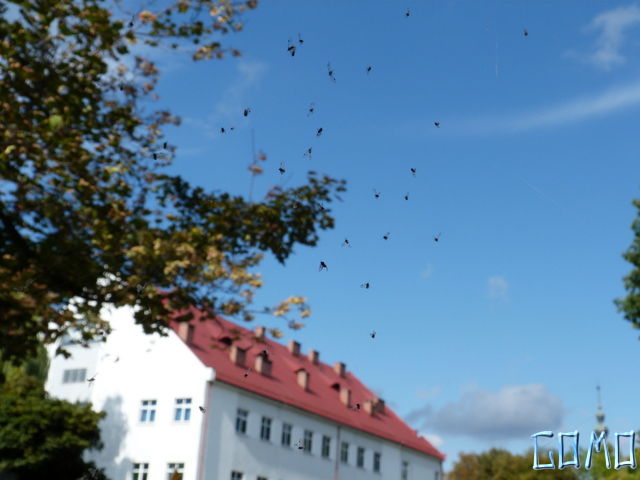 P1050794