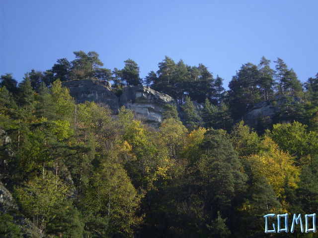 P6020299