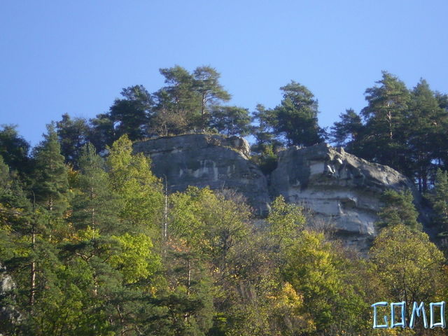 P6020300