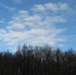 IMG_6806