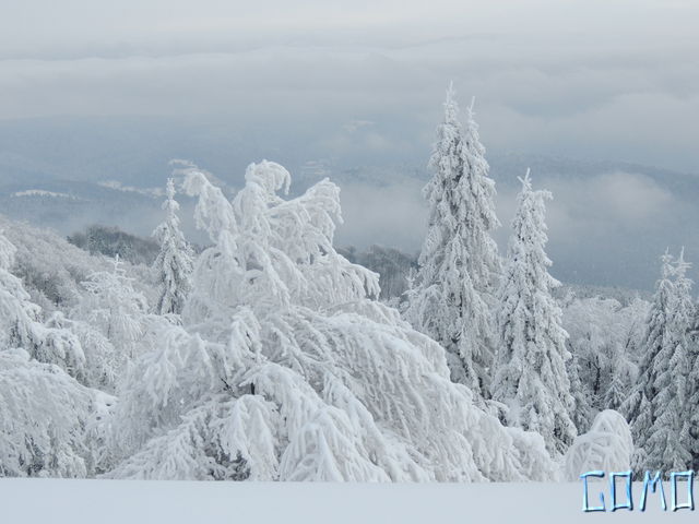 DSCN0017