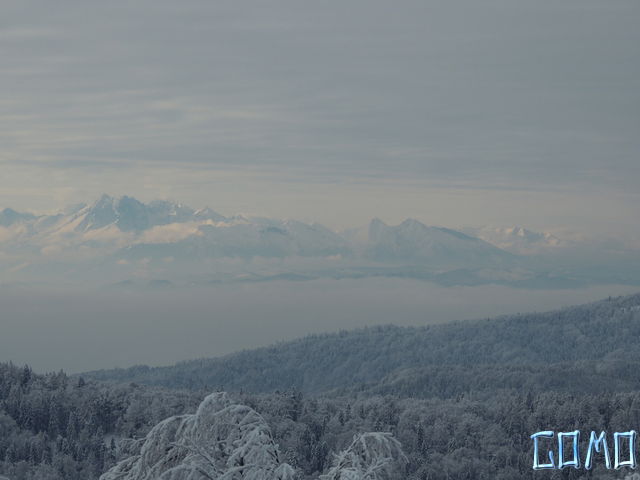 DSCN0026
