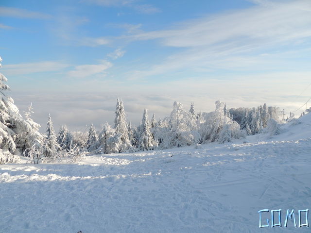 DSCN0037