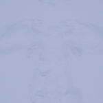 DSCN0061
