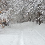 DSCN0349
