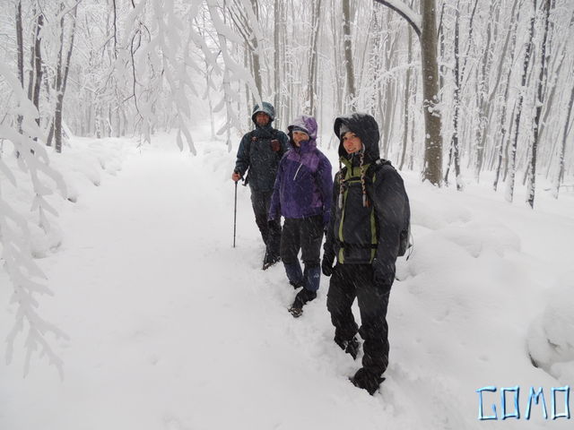 DSCN0356
