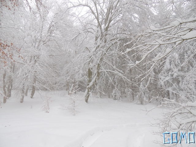 DSCN0373