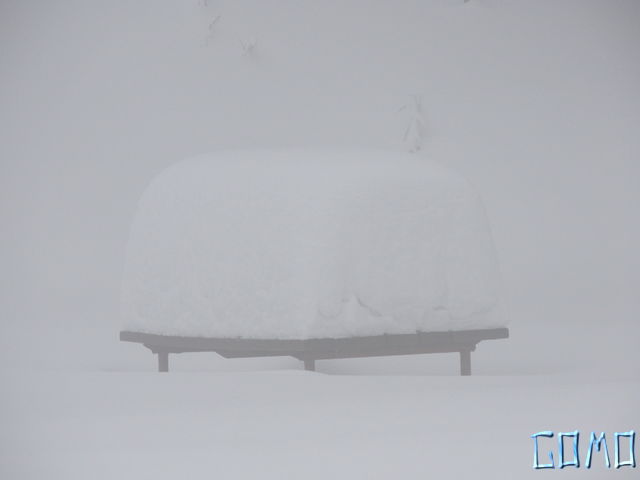 DSCN0380