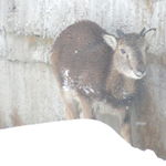 DSCN0405