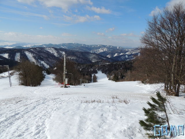 DSCN0729