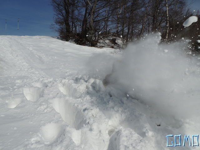 DSCN0735