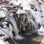 DSCN0834