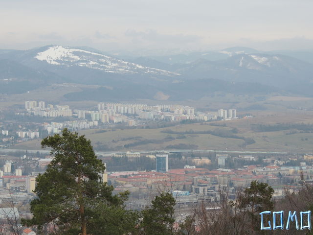 DSCN1031