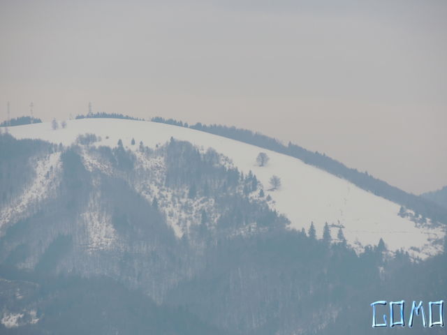 DSCN1033