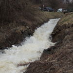 DSCN1195
