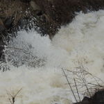 DSCN1199