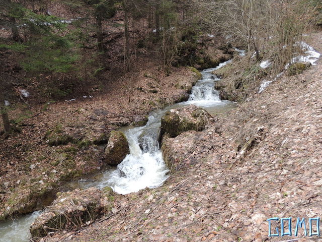 DSCN1300