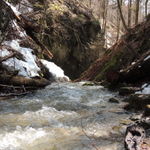DSCN1329