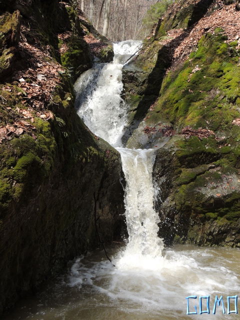 DSCN1350