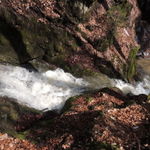 DSCN1361