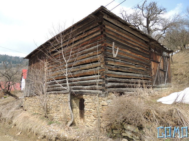 DSCN1383