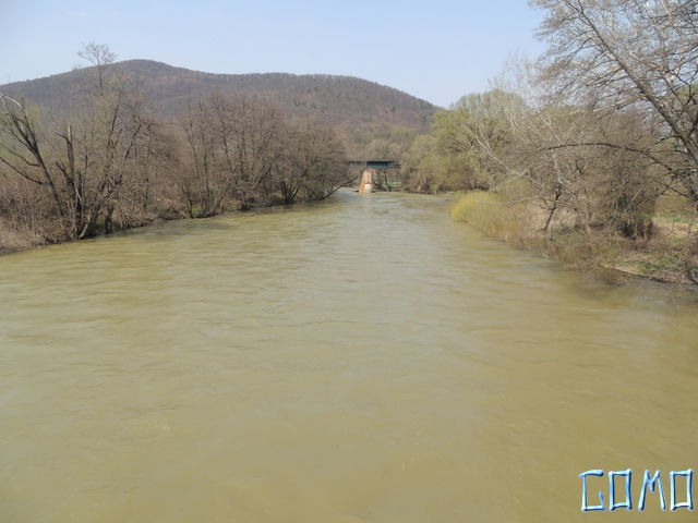 DSCN1549
