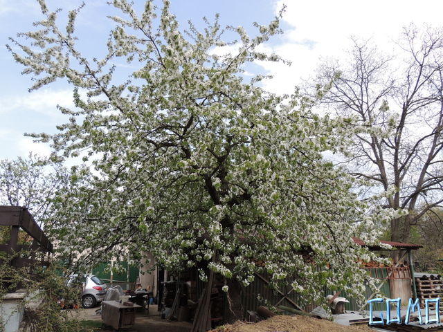 DSCN1632