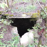 DSCN1721