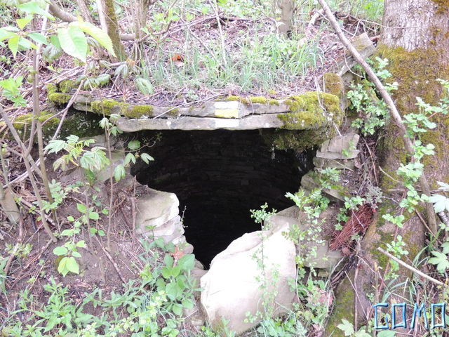 DSCN1721
