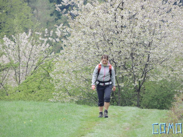 DSCN1726