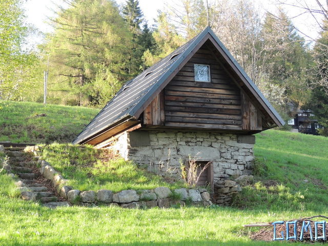 DSCN1809