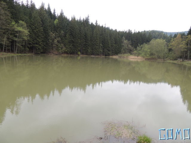 DSCN1857