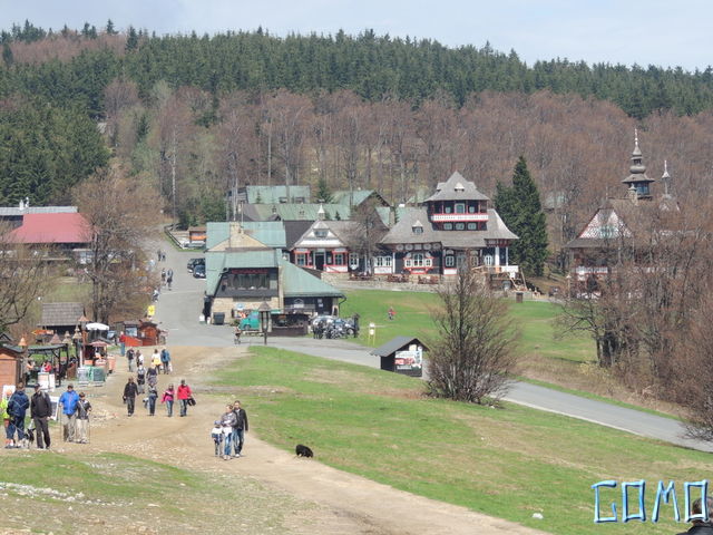 DSCN1874