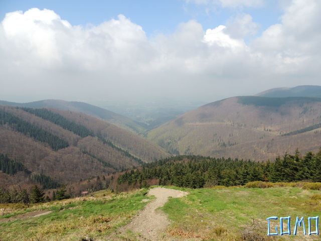 DSCN1878