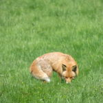 11-05-2013_Branisko-Hermanovce
