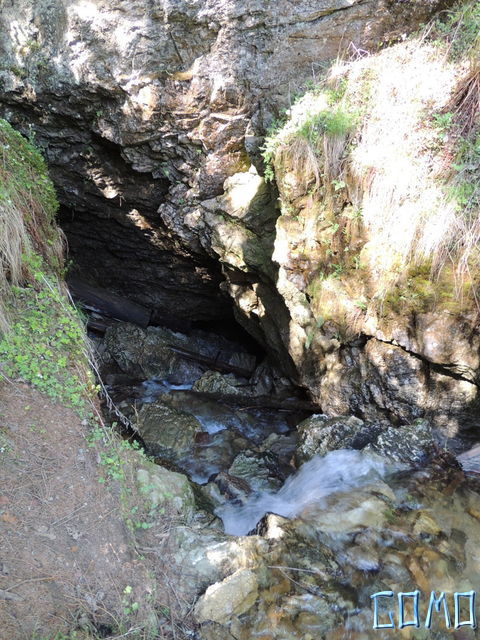 DSCN2033